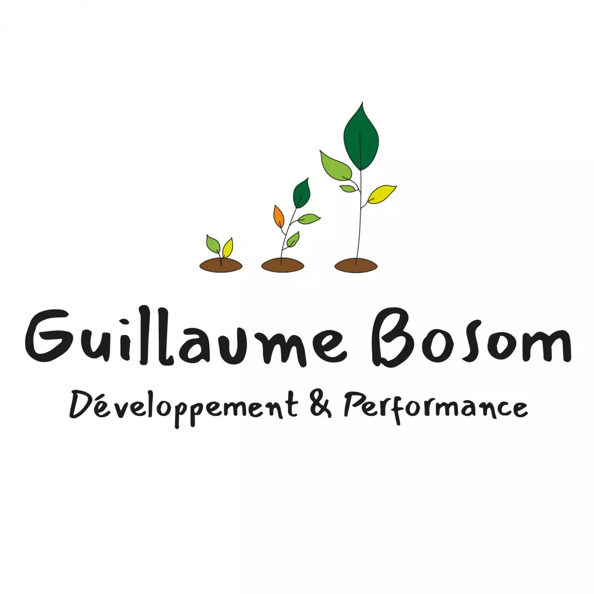 Développement et performance